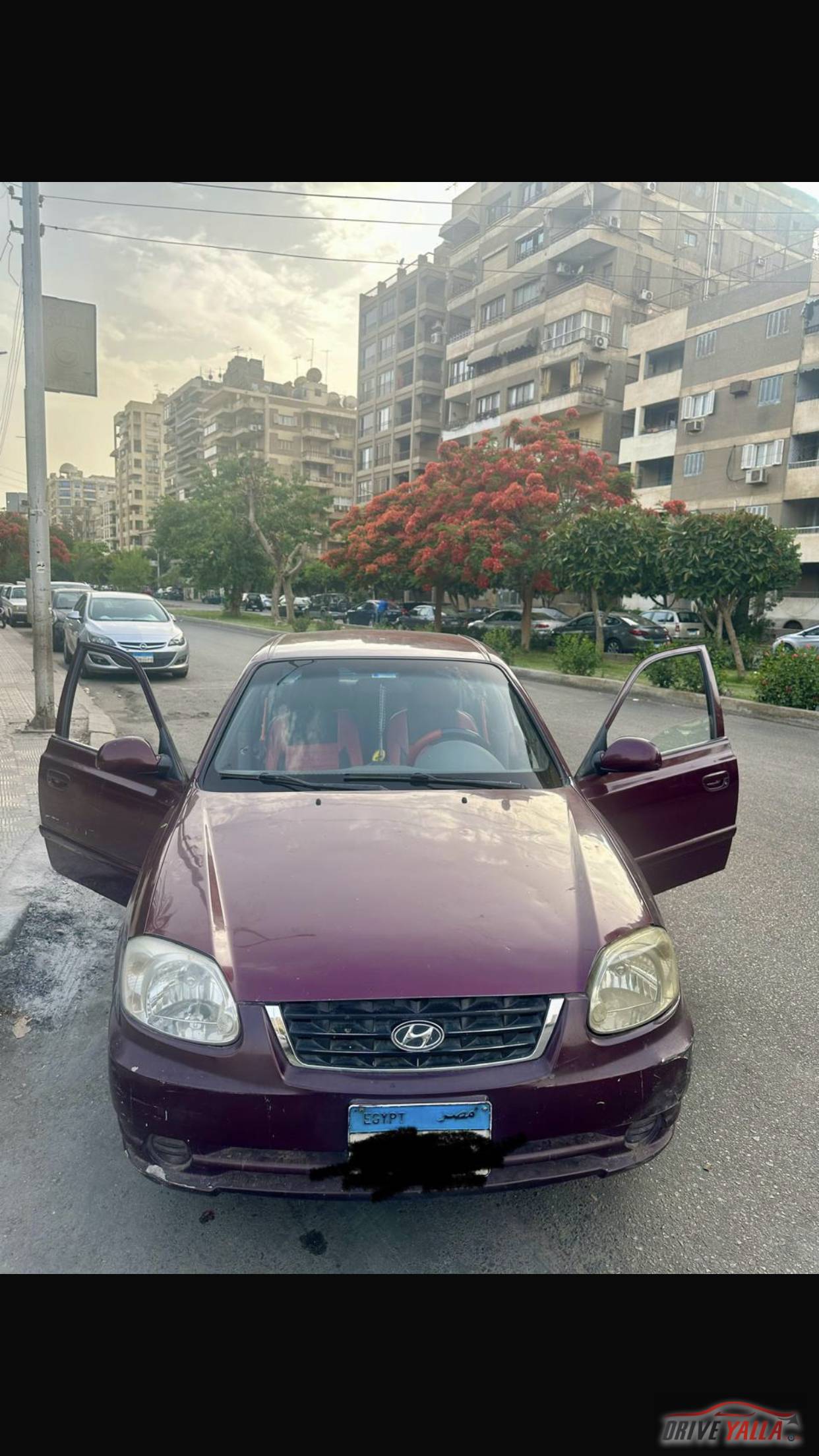 فيرنا للبيع